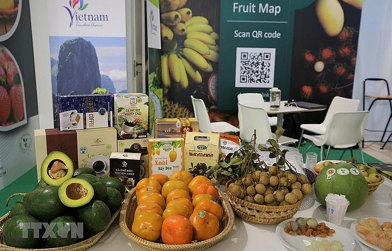 Малайзийские СМИ: Вьетнам укрепляет позицию в экспорте свежих фруктов