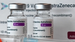 Правительство Вьетнама согласилось закупить у Венгрии вакцин против COVID-19