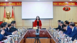 Заведующая Организационным отделом ЦК КПВ встретилась с вьетнамскими послами и генконсулами в связи с новым сроком их работы за рубежом