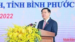 Новая движущая сила для содействия экономическому и социальному развитию провинции Биньфыок