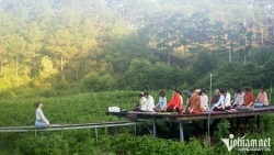 Йога-медитационный тур в сосновом лесу Ламдонг