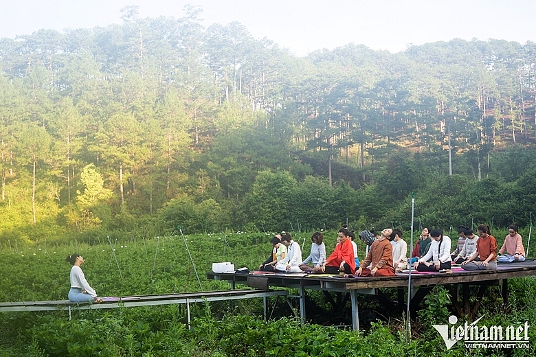 Йога-медитационный тур в сосновом лесу Ламдонг