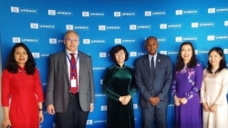 Вьетнам принимает участие в 215-й сессии Исполнительного совета ЮНЕСКО