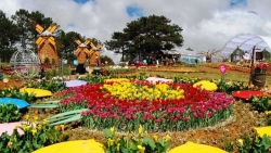 9-й фестиваль цветов в Далате