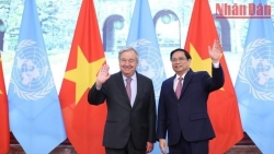 Укрепление сотрудничества между Вьетнамом и ООН