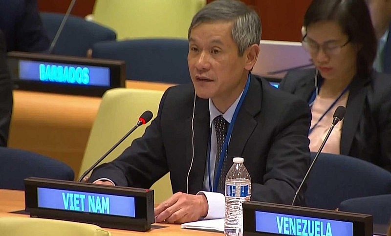 Вьетнам поддерживает основные принципы международного права