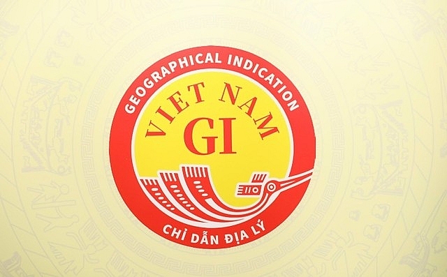 Объявлен логотип национального географического указания Вьетнама