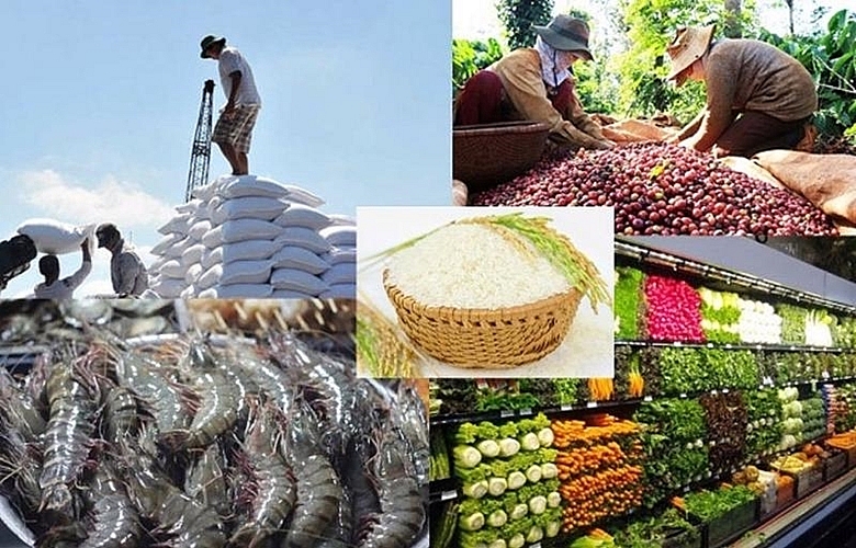 Экспорт продукции сельского, лесного и рыбного хозяйства достиг 38,8 млрд. долл. США