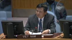 Вьетнам желает расширять сотрудничество с Международным судом в подготовке кадров