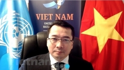 Вьетнам обеспокоен сложной ситуацией в Боснии и Герцеговине