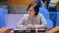 Вьетнам поддерживает усилия по оказанию гуманитарной помощи Сирии