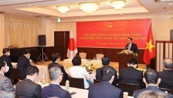 Премьер-министр Фам Минь Тинь встретился с вьетнамской диаспорой в Японии