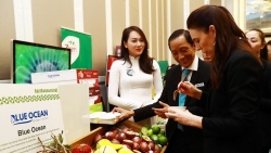 Вьетнамский лайм и помело появятся на новозеландском рынке