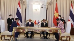 Вьетнам придает большое значение развитию усиленного стратегического партнерства с Таиландом