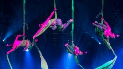 Около 30 выступлений будут показаны в рамках международного циркового фестиваля 2022 года в Ханое