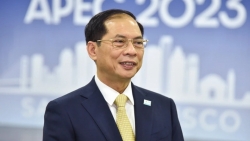 Министр иностранных дел Вьетнама заявил о важности решения глобальных вызовов на саммите АТЭС