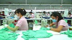 Создание более экологичной текстильной промышленности: вызовы и возможности для Вьетнама
