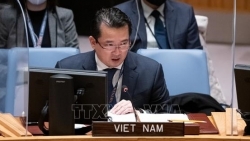 Вьетнам призвал наращивать гуманитарный помощь Республике Конго