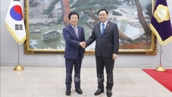 Председатель Национального собрания Выонг Динь Хюэ провел переговоры с Корейским коллегой Пак Бён Соком