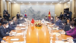 Вьетнам и Республика Корея стремятся поднять двусторонние отношения на уровень всеобъемлющего стратегического партнёрства