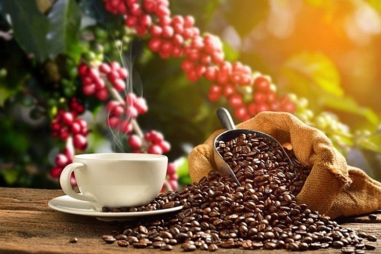Импортный спрос России на вьетнамский кофе сильно вырастет в 2022 году