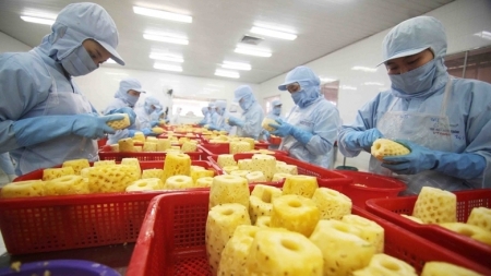 Количество вновь созданных предприятий увеличилось на 70% в 4-ом квартале