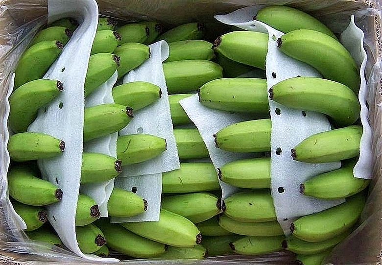 Япония увеличивает импорт бананов из Вьетнама
