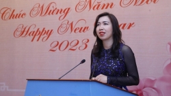 МИД Вьетнама провел встречу с иностранными пресс-агентствами по случаю Нового года