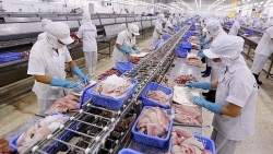 Широкие перспективы для вьетнамской продукции на рынке ОАЭ