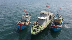 Приняты меры по сокращению нелегального рыбного промысла в Бариа-Вунгтау