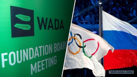 WADA назначило размер взноса для России на 2020 год