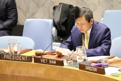 Вьетнам председательствовал на заседании Совбеза ООН, принял резолюцию по Йемену
