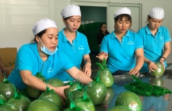 Перспективы экспорта овощей и фруктов Вьетнама в 2021 году