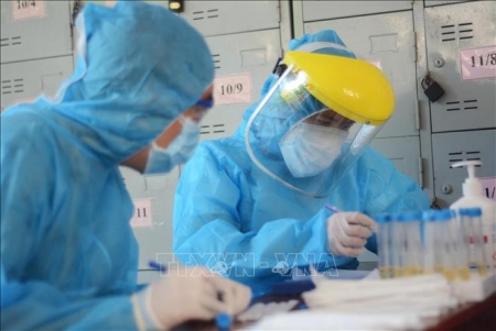 Немецкие специалисты высоко оценивают достигнутые Вьетнамом результаты
