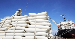Первые 60 тонн вьетнамского риса были импортированы в Великобританию в рамках UKVFTA
