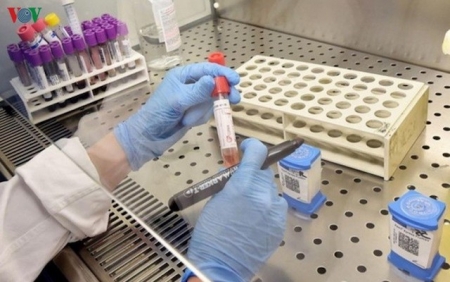 Министерство науки и технологий Вьетнама утвердило проведение научной работы по испытанию лекарства от коронавируса