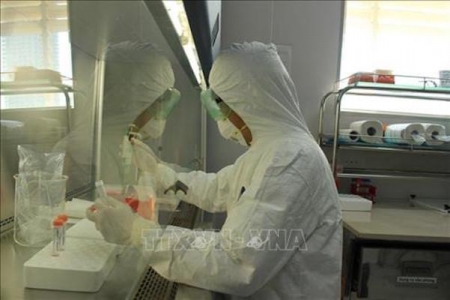 Во Вьетнаме шесть единиц могут самостоятельно сделать тест на коронавирус SARS-CoV-2