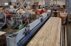 Провинция Биньзыонг лидирует во Вьетнаме по экспорту древесины