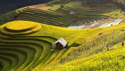 «Вьетнам — одно из самых ярких впечатлений»