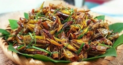 Вьетнам получил разрешение на экспорт продуктов питания на основе насекомых в ЕС