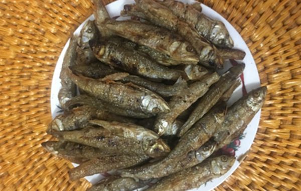 Ảnh 0