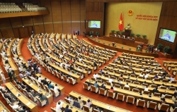 Вьетнамские интеллектуалы в Германии возлагают большие надежды на новое правительство
