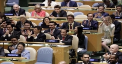 Вьетнам в Совете Безопасности ООН: от участника к партнеру за прочный мир