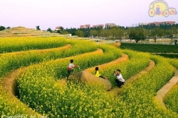 В Ханое появятся два новых туристических места в уезде Данфыонг