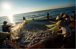 Вьетнам стремится войти в тройку ведущих стран-производителей и экспортеров морепродуктов в мире