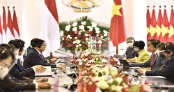 Премьер-министр Фам Минь Тинь провел встречу с президентом Индонезии Джоко Видодо