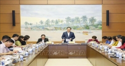 Председатель НС Выонг Динь Хюэ работал с комитетами НС
