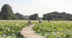 Провинция Ниньбинь развивает туризм в сочетании с сельским хозяйством