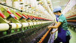 Объем инвестиций вьетнамских предприятий за рубежом увеличился почти в 8 раз