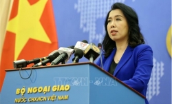 МИД Вьетнама прокомментировал судебное разбирательство по иску Чан То Нга о применении США агента «оранж» во Вьетнаме